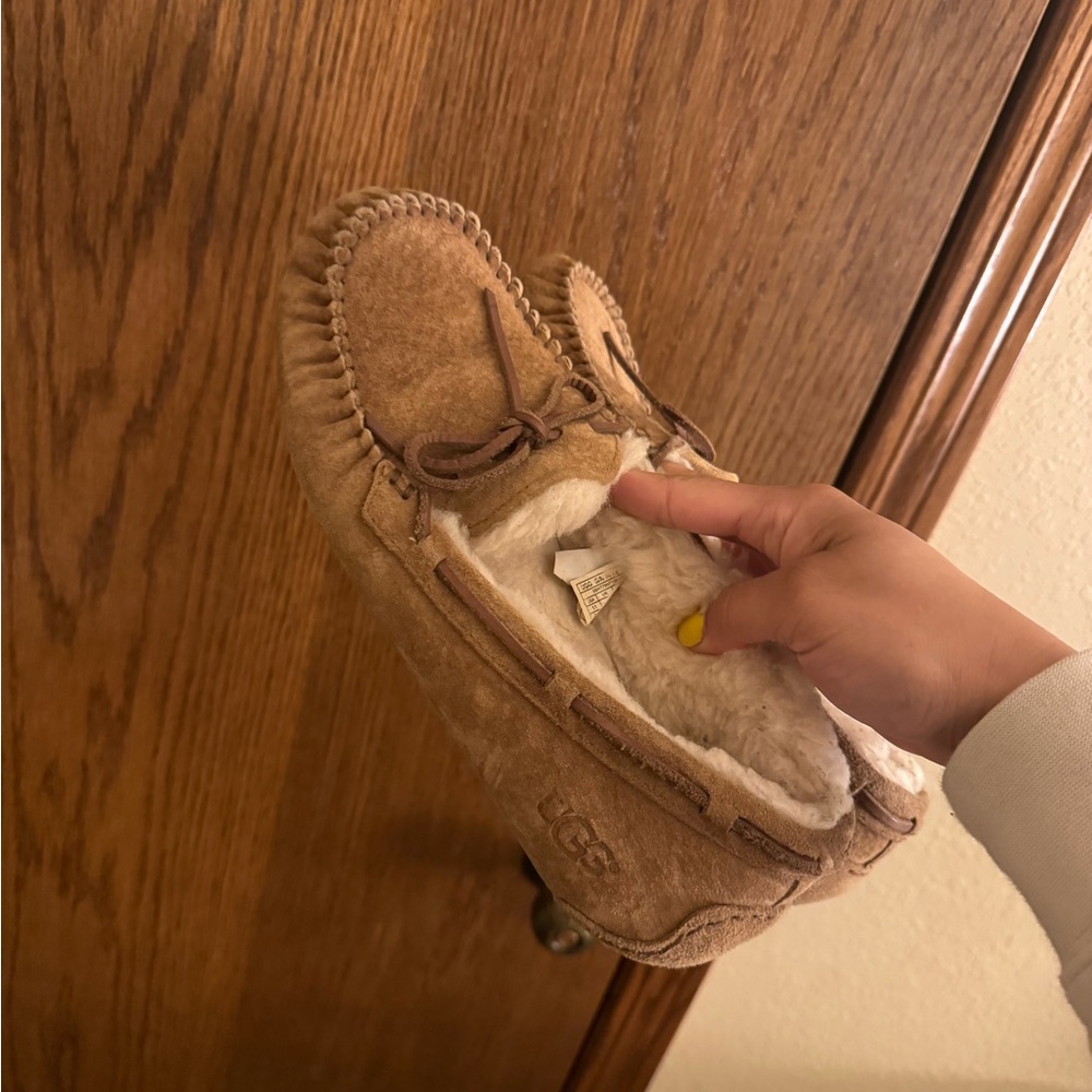 Dakota Ugg Slippers